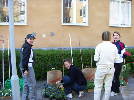 © Brf Svenstorp 3: Gemensam fixaredag våren 2005